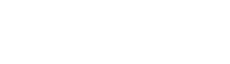 Brizzi Logo