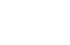 Onitsuka Tiger Logo